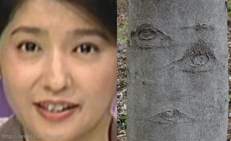 小谷真生子さん 初代のブログ 1991年式fy31 28年間所有 純正仕立て 走行距離 地球10周分 みんカラ 小谷真生子さん 初代のブログ 1991年式fy31 28年間所有 純正仕立て 走行距離 地球10周分 みんカラ