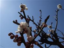 2014,3/16(日)豪雪から回復した「しのい」路面を満喫♪♪(^o^) 2014,3/16(日)豪雪から回復した「しのい」路面を満喫♪♪(^o^)