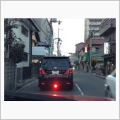 生きてます...