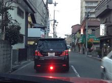 生きてます...