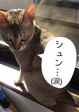 デカイ!高い!長い!世界⁉︎長編1260km探訪記Vol.5 第2日目・最終章! デカイ!高い!長い!世界⁉︎長編1260km探訪記Vol.5 第2日目・最終章!