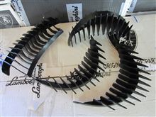 芸術とも言える：その1　睫毛