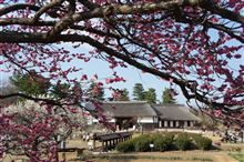 昭和記念公園in2014早春♪