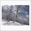 雪山へ