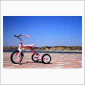魅惑の三輪車