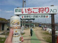 いちご狩り