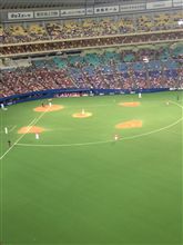 野球観戦