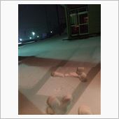 なごり雪というほど可愛いもの ...