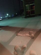 なごり雪というほど可愛いものじゃない！