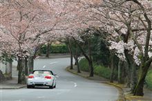 伊豆ドライブ(SAKURAの中をオープンで) 伊豆ドライブ(SAKURAの中をオープンで)