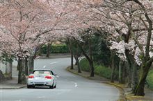 伊豆ドライブ（SAKURAの中をオープンで） 