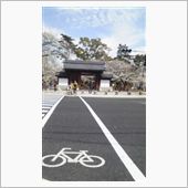 本日の膳所城公園(?_?)