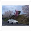 桜の季節か…