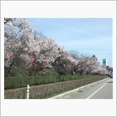 弄りハウス建て方。