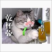 いまさらですが…