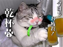 いまさらですが…