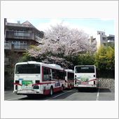 満開