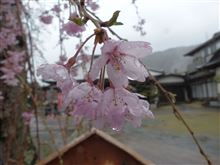 4月3日木曜日の日記 火事 4月3日木曜日の日記 火事