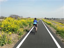 ときがわサイクルフェスタに行ってきた。 ときがわサイクルフェスタに行ってきた。