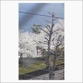 緊急報告m(_ _)m