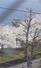 緊急報告m(_ _)m