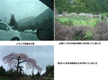 今年最初のごろごろ水 今年最初のごろごろ水