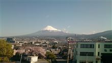 さくらと富士山