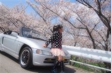 さくら