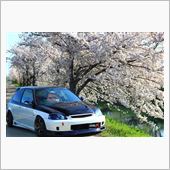 桜と愛車