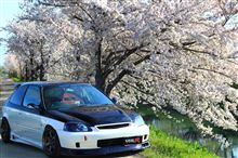 桜と愛車