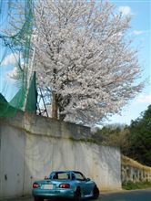 デミオの車高を下げました。