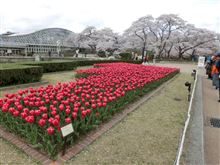 14年4月5日桜ツーリングヘ^^ 14年4月5日桜ツーリングヘ^^