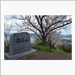 解答ブログ、岩城島積善山からの眺め