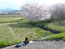レヴォーグ見学