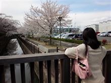 お花見的な！