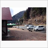 桜の季節なのに
