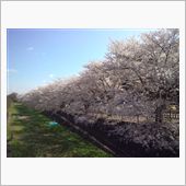 金山緑地公園