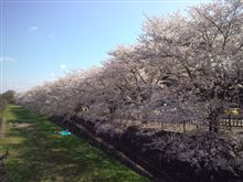 金山緑地公園