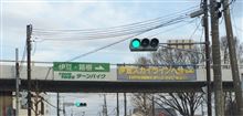 桜のトンネル箱根ターンパイク♬