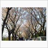車検が近いな～