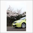 C2でお花見ドライブ〜　のはずが・・