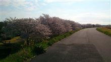 花見