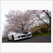 桜を愛でるクルーズとインテ、 ...