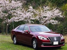 桜、ハンバーグ、温泉