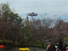 家族で花見(2014春)