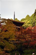 フォトギャラリーにアップしましたよ♪【滋賀県の紅葉 金剛輪寺編 （2013/11/20） Vol.1～4】