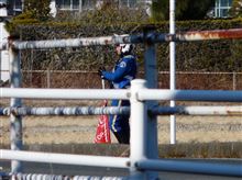 田んぼに隠れてる怪しいヤツにご注意