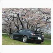 お花見