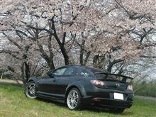お花見