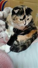 間に合った(*^-^*)
